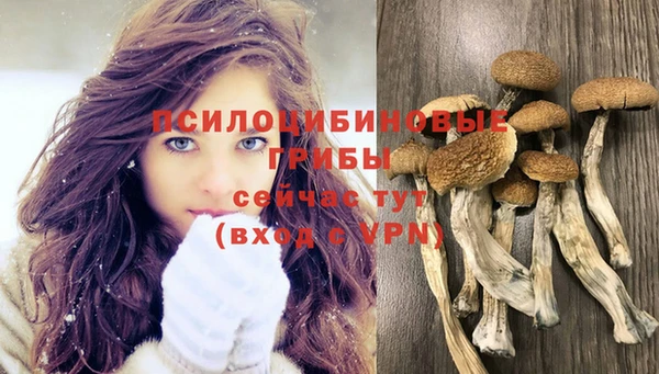 эйфоретик Алексин